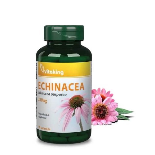 Vitaking Echinacea / Bíbor kasvirág kivonat 250 mg - 90 kapszula